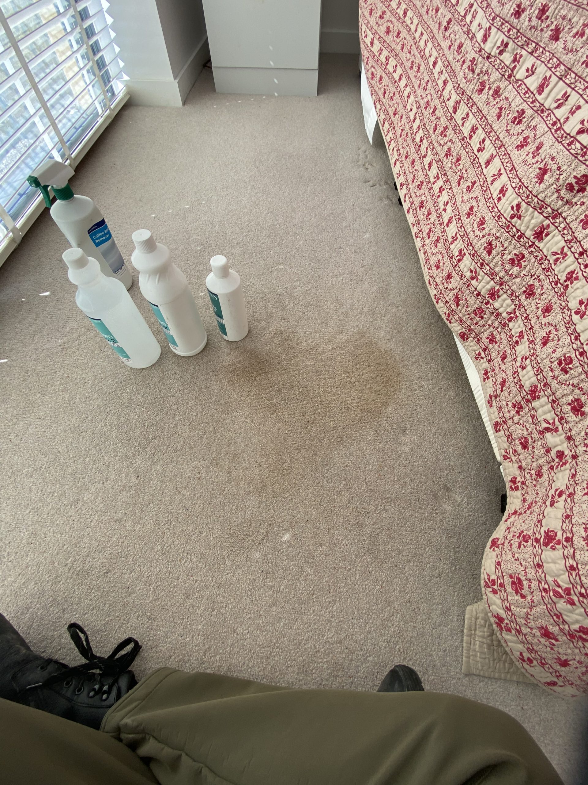 Pet stain removal leeds