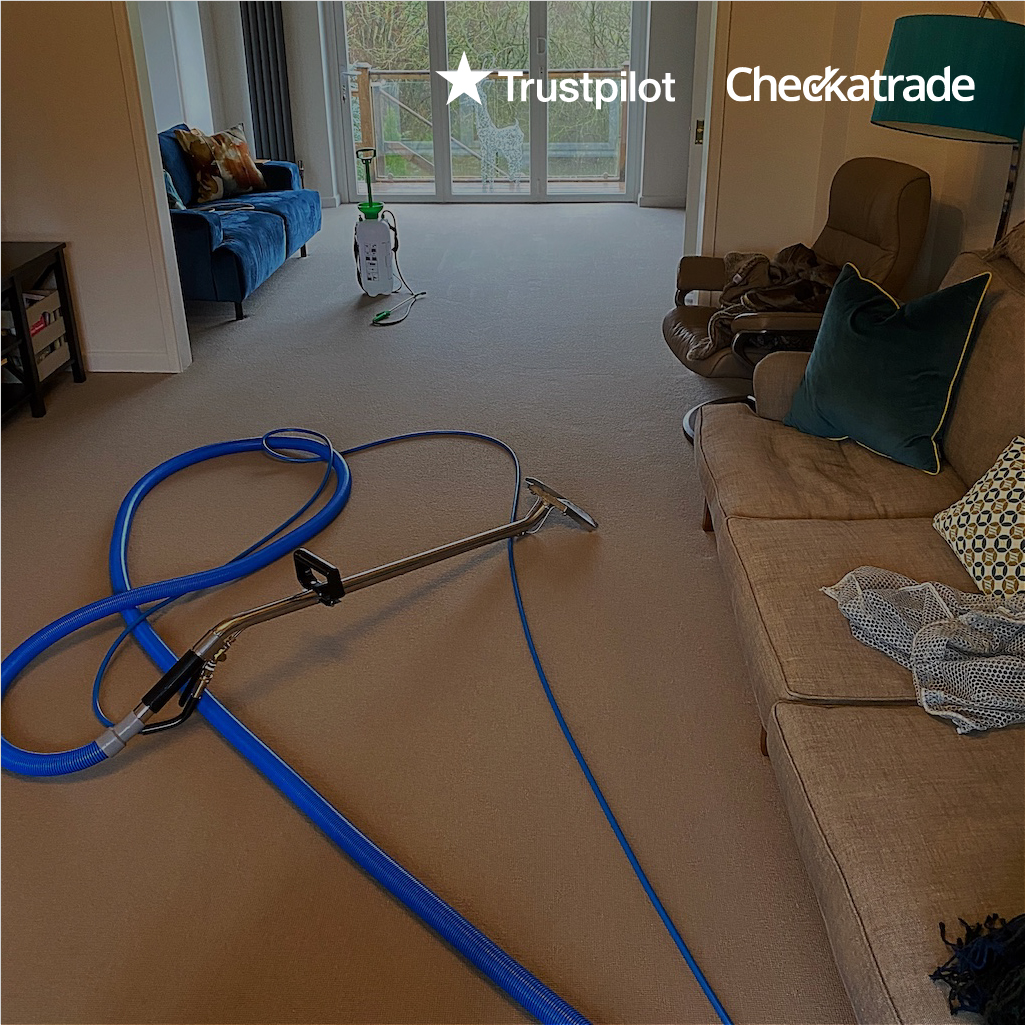 Carpet Cleaning in Leeds