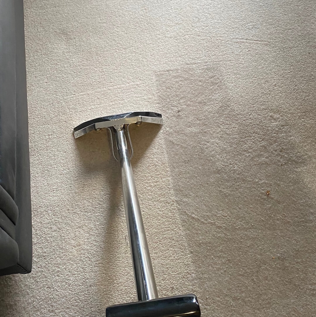 Rug Carpet Cleaning