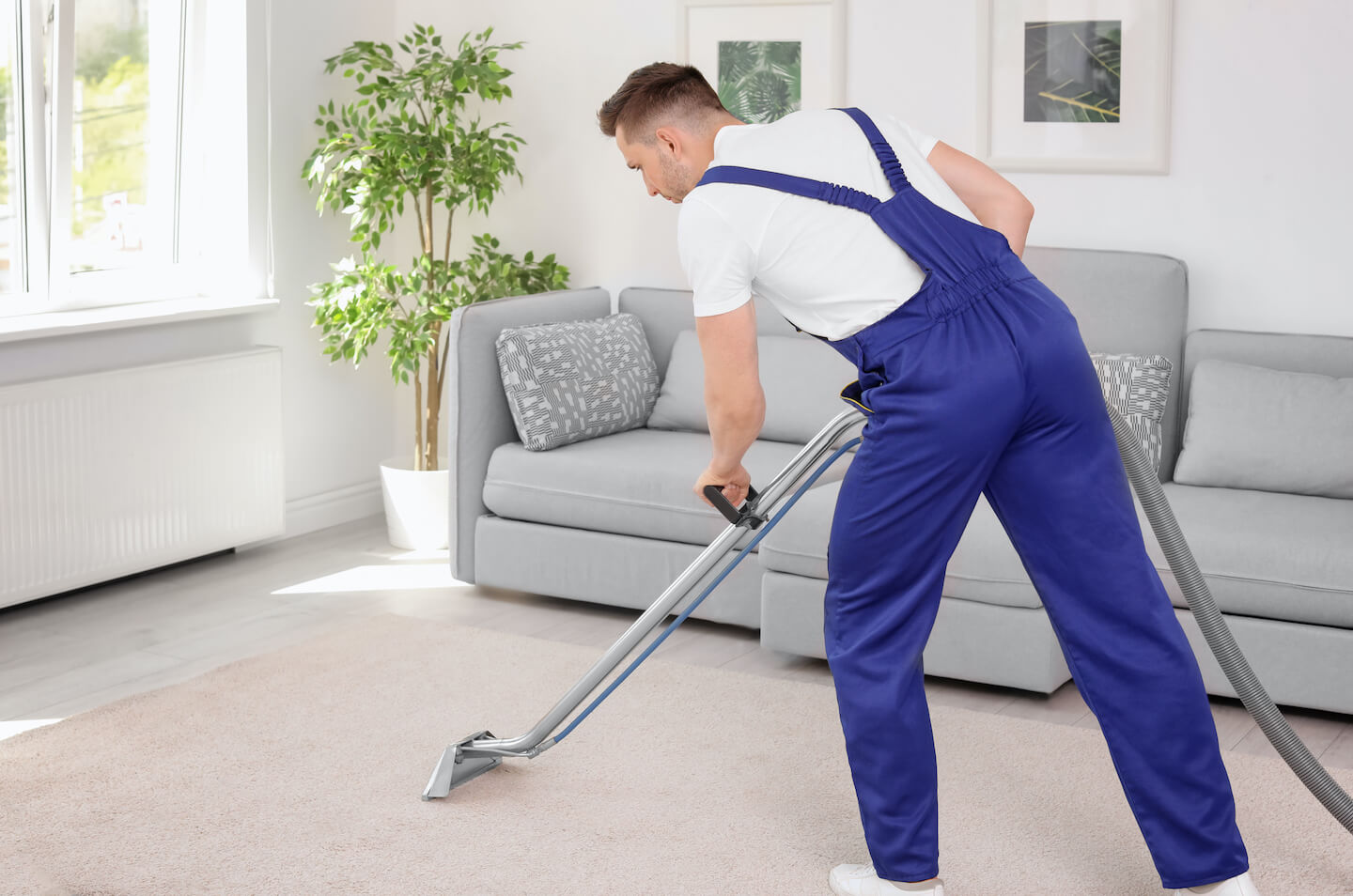 Carpet cleaners wakefield