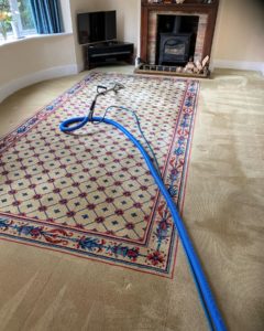 High quality Wilton carpet cleaning