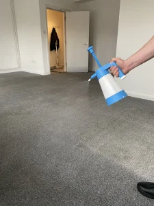 Pre spray the carpet